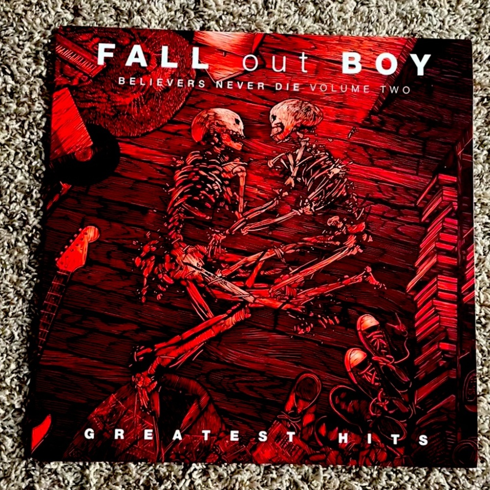 Fallout boy vinyl